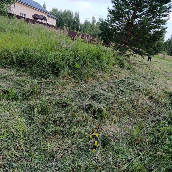 Вынос границ