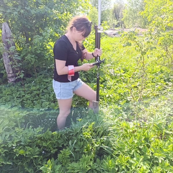 Вынос границ