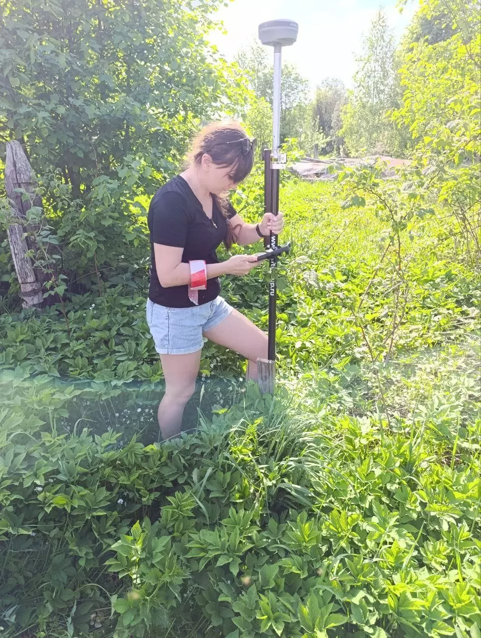 Вынос границ